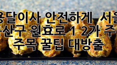 용달이사 안전하게! 🚚 서울 용산구 원효로 1, 2가 주민 주목! 꿀팁 대방출 🎉